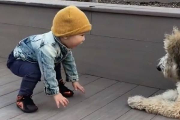 La rencontre adorable entre un enfant et un chiot qui est devenue virale