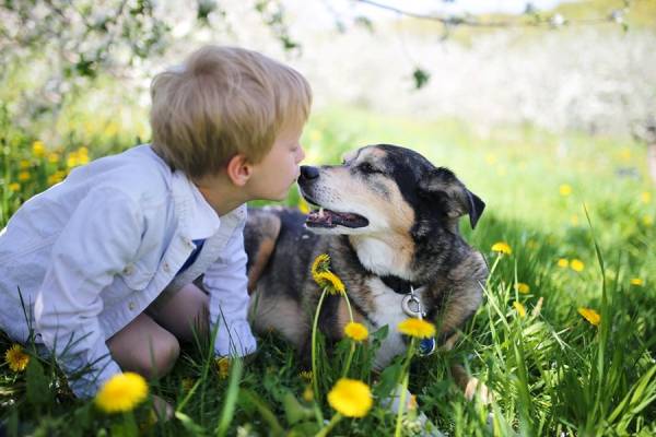 Le bébé qui imite son animal de compagnie